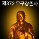 보화오백