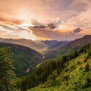 정다운일터 이미지