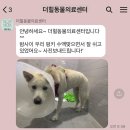 스타동물의료센터 네이버블로그