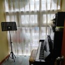 샬롬음악학원 이미지