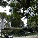 한국네이처스버라이어티(주) | 2026년 첫 출국 : 웨딩어벤저스의 싱가포르여행 또는 6개월 뒤에 하는 결혼식 뒤풀이 2편