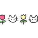 바른운동 스튜디오 이미지