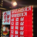 맘모스껍데기 이미지