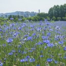 해맞이농장 이미지