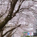 달맞이길 이미지