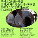 라틴클럽
