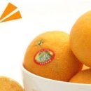 원 농장 이미지