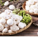 영송농장 이미지