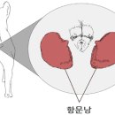 다산동물약국 이미지