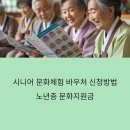 대두 경로당 | 문화누리카드 신청방법: 시니어 문화체험 바우처 (노년층 문화지원금) 총정리