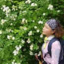 서현마을회관 이미지