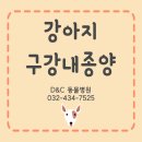 디엔씨동물병원 이미지