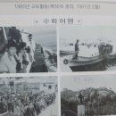 아산초 이미지
