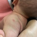 신소아청소년과의원 이미지