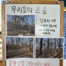 [6] 기린나무가 많은 큰 숲 아지트?!😮🌳 이미지