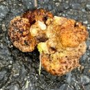 병인농장 이미지