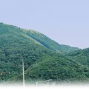 민둥산집