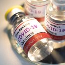 코로나 백신 의무화 불러온 비극 이미지