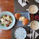 아미가르 이미지