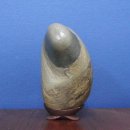 버드하우스 이미지