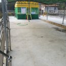 추월산골드캠핑장 이미지