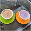 어린왕자 | 🌊 바다 보며 커피 한 잔, 경주 관성솔밭해변 앞 카페 어린왕자 후기