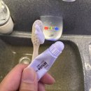 [호주여행 준비] 젯스타 | 인천 브리즈번 직항 JQ54 보잉 탑승 후기
