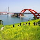 쪽빛 태양광발전소 Daum카페