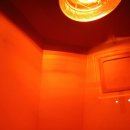 순진축산 이미지