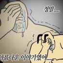 초콜릿필름 이미지