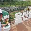울산L테니스 | 🏃‍♂️ 엠씨엔핏 런서클 러닝복과 함께한 울산숲길 러닝 후기