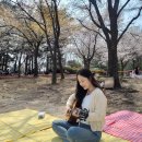 (1:1레슨)피아노 개인레슨(30분) | 대구실용음악학원 취미부터 레슨까지 만족했던 후기