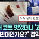 빈대가 대중교통까지 퍼졌습니다.. 서둘러 대책 세우세요.. 이미지