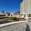 신월동194 이미지