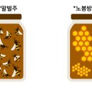 티앤씨인증원 네이버블로그