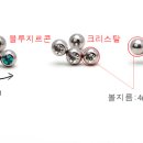 불루모아 이미지