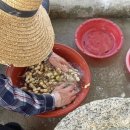 방주농장 이미지