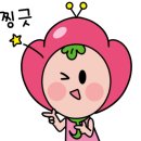 엘피여행 이미지