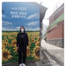 대신양말골목 이미지