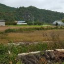 성창공인중개사사무소 이미지