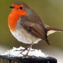 호수마을월드도서관 이미지