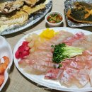 연수가자미 이미지
