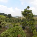 여송농장 이미지