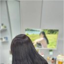 이어진;아름다움을잇다