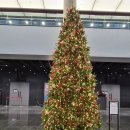 시민이 만드는 뮤지컬 | [뮤지컬] 빨래 대구공연 후기(11.27 밤공) | 대구 수성아트피아