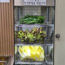 하늘한식부페 | 영종도 하늘도시 맛집::가성비한식뷔페::토요일 생맥주 무제한,메뉴,가격,주차