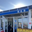 초지항 | 강화도 초지항에서 만난 농어의 신선함, 바다 내음 가득한 내돈내산 횟집후기