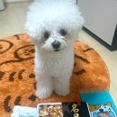 (주)영신에프앤씨 이미지