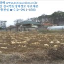 성해목장 이미지