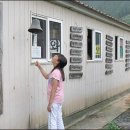 와보랑께박물관 이미지